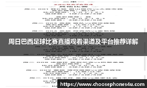 纳米体育官网